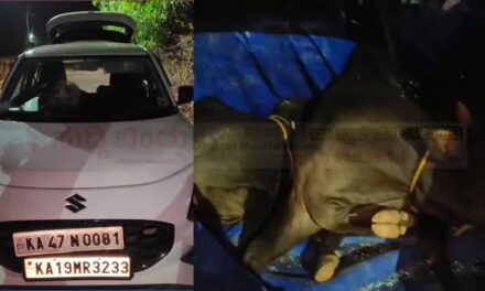 ಸ್ವಿಫ್ಟ್ ಕಾರಿನಲ್ಲಿ ಗೋವು ಕಳ್ಳತನಕ್ಕೆ ಯತ್ನ! ಗ್ರಾಮಸ್ಥರ ಕಂಡು ಕಾರು ಬಿಟ್ಟು ಪರಾರಿ