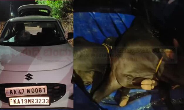 ಸ್ವಿಫ್ಟ್ ಕಾರಿನಲ್ಲಿ ಗೋವು ಕಳ್ಳತನಕ್ಕೆ ಯತ್ನ! ಗ್ರಾಮಸ್ಥರ ಕಂಡು ಕಾರು ಬಿಟ್ಟು ಪರಾರಿ