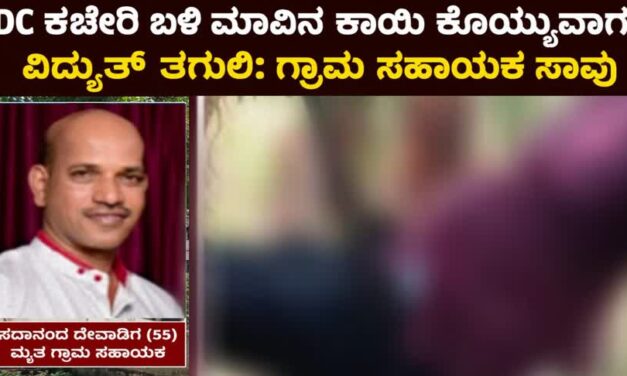 DC ಕಚೇರಿ ಬಳಿ ಮಾವಿನ ಕಾಯಿ ಕೊಯ್ಯುವಾಗ ವಿದ್ಯುತ್ ಸ್ಪರ್ಶ: ಗ್ರಾಮ ಸಹಾಯಕ ಸಾವು