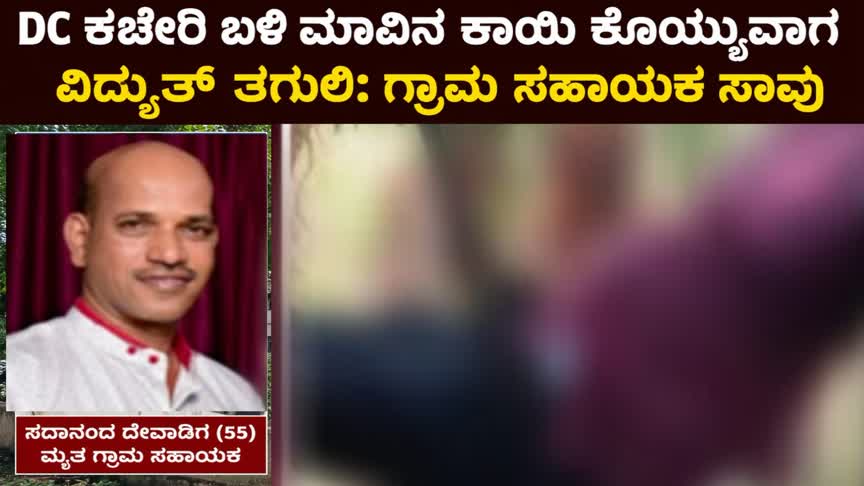 DC ಕಚೇರಿ ಬಳಿ ಮಾವಿನ ಕಾಯಿ ಕೊಯ್ಯುವಾಗ ವಿದ್ಯುತ್ ಸ್ಪರ್ಶ: ಗ್ರಾಮ ಸಹಾಯಕ ಸಾವು