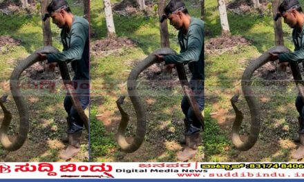 100 ಕಾಳಿಂಗ ಸರ್ಪ ರಕ್ಷಿಸಿದ ಸ್ನೇಕ್ ಪವನ್ : 15 ಅಡಿ ಉದ್ದದ ಬೃಹತ್ ಕಾಳಿಂಗ ಸರ್ಪ ಸೆರೆ