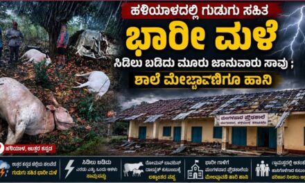 ಹಳಿಯಾಳದಲ್ಲಿ ಗುಡುಗು ಸಹಿತ  ಭಾರೀ ಮಳೆ : ಸಿಡಿಲು ಬಡಿದು ಮೂರು ಜಾನುವಾರು ಸಾವು ; ಶಾಲೆ ಮೇಲ್ಚಾವಣಿಗೂ ಹಾನಿ