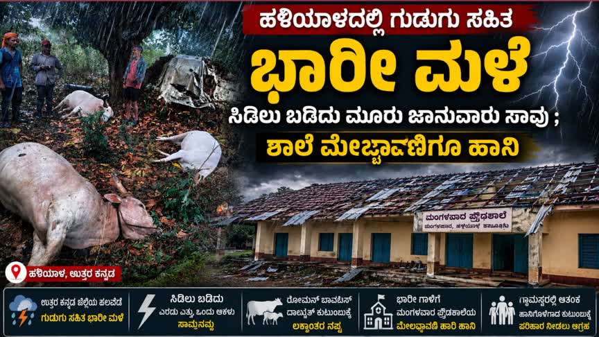 ಹಳಿಯಾಳದಲ್ಲಿ ಗುಡುಗು ಸಹಿತ  ಭಾರೀ ಮಳೆ : ಸಿಡಿಲು ಬಡಿದು ಮೂರು ಜಾನುವಾರು ಸಾವು ; ಶಾಲೆ ಮೇಲ್ಚಾವಣಿಗೂ ಹಾನಿ