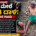 ವೃದ್ಧನ ಮೇಲೆ ಕರಡಿ ದಾಳಿ : ಗಂಭೀರ ಗಾಯ