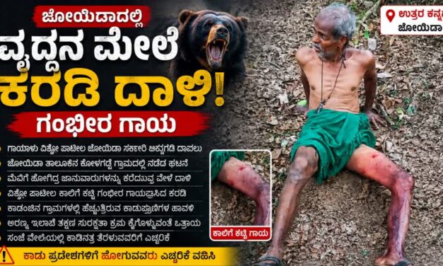 ವೃದ್ಧನ ಮೇಲೆ ಕರಡಿ ದಾಳಿ : ಗಂಭೀರ ಗಾಯ