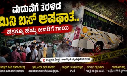 ಮದುವೆಗೆ ತೆರಳಿದ್ದ ಮಿನಿ ಬಸ್ ಅಪಘಾತ : ಹತ್ತಕ್ಕೂ ಹೆಚ್ಚು ಮಂದಿಗೆ ಗಾಯ