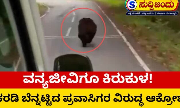 ವನ್ಯಜೀವಿಗೂ ಕಿರುಕುಳ! ದಾಂಡೇಲಿಯಲ್ಲಿ ಕರಡಿ ಬೆನ್ನಟ್ಟಿದ ಪ್ರವಾಸಿಗರ ವಿರುದ್ಧ ಆಕ್ರೋಶ