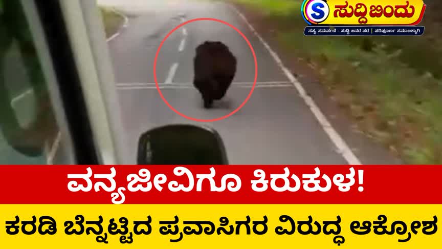 ವನ್ಯಜೀವಿಗೂ ಕಿರುಕುಳ! ದಾಂಡೇಲಿಯಲ್ಲಿ ಕರಡಿ ಬೆನ್ನಟ್ಟಿದ ಪ್ರವಾಸಿಗರ ವಿರುದ್ಧ ಆಕ್ರೋಶ