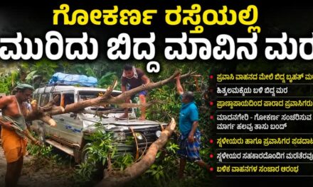 Gokaran/ಗೋಕರ್ಣ ರಸ್ತೆಯಲ್ಲಿ ಪ್ರವಾಸಿಗರ ವಾಹನದ ಮೇಲೆ ಬಿದ್ದ ಬೃಹತ್  ಮರ : ಪ್ರಾಣಾಪಾಯದಿಂದ ಪಾರು