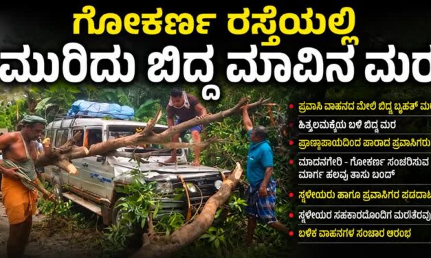 Gokaran/ಗೋಕರ್ಣ ರಸ್ತೆಯಲ್ಲಿ ಪ್ರವಾಸಿಗರ ವಾಹನದ ಮೇಲೆ ಬಿದ್ದ ಬೃಹತ್  ಮರ : ಪ್ರಾಣಾಪಾಯದಿಂದ ಪಾರು