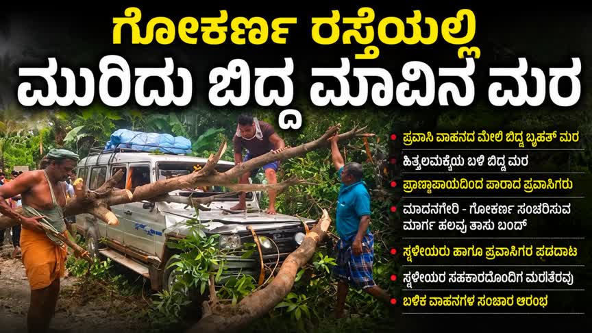 Gokaran/ಗೋಕರ್ಣ ರಸ್ತೆಯಲ್ಲಿ ಪ್ರವಾಸಿಗರ ವಾಹನದ ಮೇಲೆ ಬಿದ್ದ ಬೃಹತ್  ಮರ : ಪ್ರಾಣಾಪಾಯದಿಂದ ಪಾರು