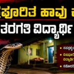 ವಿಷಪೂರಿತ ಹಾವು ಕಚ್ಚಿ 6ನೇ ತರಗತಿ ವಿದ್ಯಾರ್ಥಿ ಸಾವು