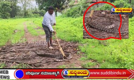 ಹಟ್ಟಿಕೇರಿಯಲ್ಲಿ ಭಾರೀ ಗಾತ್ರದ ಹೆಬ್ಬಾವು ಸೆರೆ