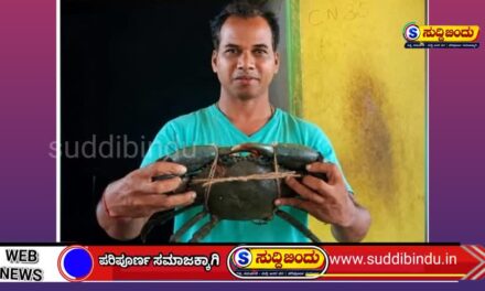 ಮಾದನಗೇರಿಯಲ್ಲಿ ಅಪರೂಪದ ದೈತ್ಯ ಏಡಿ ಪತ್ತೆ : ವಿದೇಶಿ ಮಾರುಕಟ್ಟೆಯಲ್ಲಿ ಭಾರೀ ಬೇಡಿಕೆ