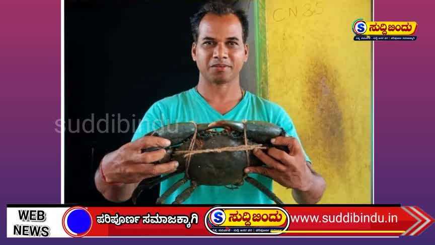 ಮಾದನಗೇರಿಯಲ್ಲಿ ಅಪರೂಪದ ದೈತ್ಯ ಏಡಿ ಪತ್ತೆ : ವಿದೇಶಿ ಮಾರುಕಟ್ಟೆಯಲ್ಲಿ ಭಾರೀ ಬೇಡಿಕೆ