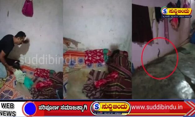 ಹಾಸಿಗೆಯಲ್ಲಿ ಮಕ್ಕಳ ನಡುವೆ ನಾಗರಹಾವು..!