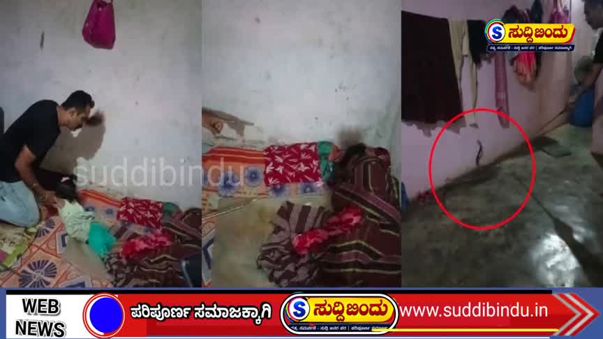 ಹಾಸಿಗೆಯಲ್ಲಿ ಮಕ್ಕಳ ನಡುವೆ ನಾಗರಹಾವು..!