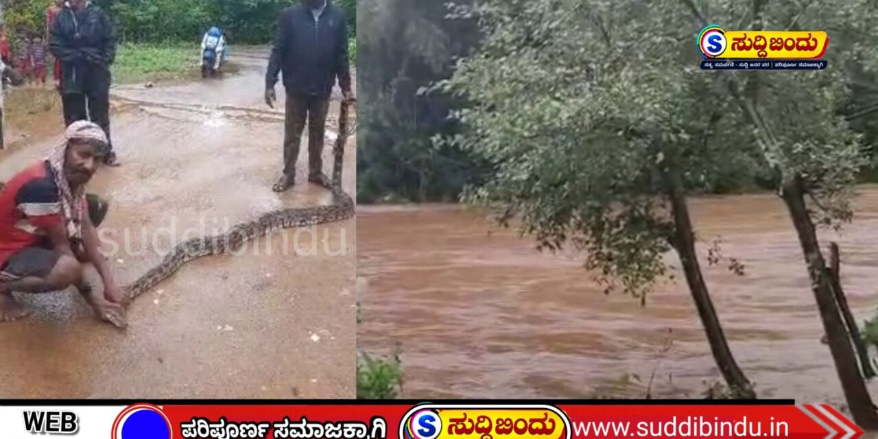 ಅಪಾಯದ ಮಟ್ಟ ಮೀರಿ ಹರಿಯುತ್ತಿರುವ ಅಘನಾಶಿನಿ: ಸರಕುಳಿ ಸೇತುವೆ ಜಲಾವೃತ ಸಾಧ್ಯತೆ