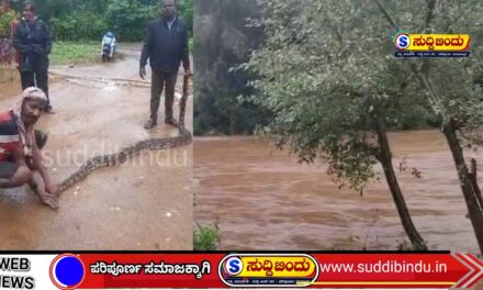 ಅಪಾಯದ ಮಟ್ಟ ಮೀರಿ ಹರಿಯುತ್ತಿರುವ ಅಘನಾಶಿನಿ: ಸರಕುಳಿ ಸೇತುವೆ ಜಲಾವೃತ ಸಾಧ್ಯತೆ
