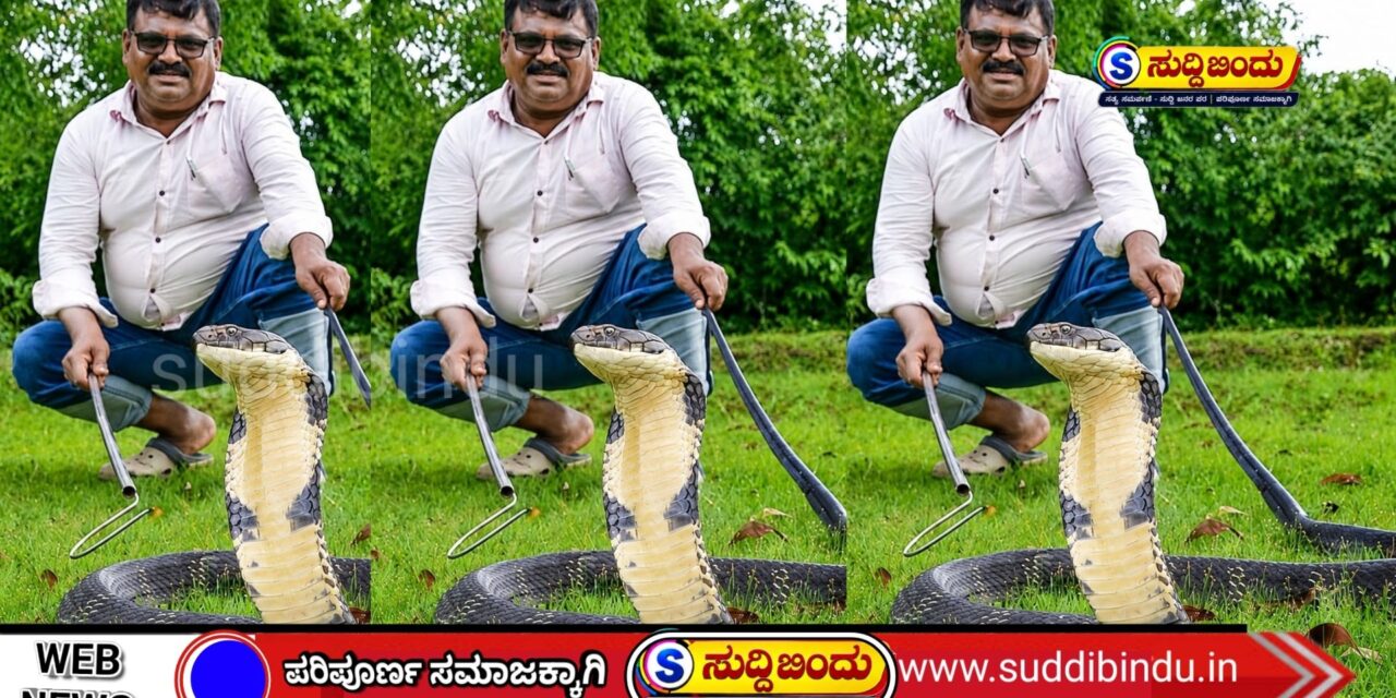 ಅಂಕೋಲಾದಲ್ಲಿ 12 ಅಡಿ ಕಿಂಗ್ ಕೋಬ್ರಾ ಪ್ರತ್ಯಕ್ಷ!