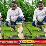 ಅಂಕೋಲಾದಲ್ಲಿ 12 ಅಡಿ ಕಿಂಗ್ ಕೋಬ್ರಾ ಪ್ರತ್ಯಕ್ಷ!