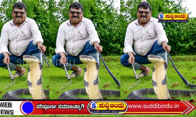 ಅಂಕೋಲಾದಲ್ಲಿ 12 ಅಡಿ ಕಿಂಗ್ ಕೋಬ್ರಾ ಪ್ರತ್ಯಕ್ಷ!