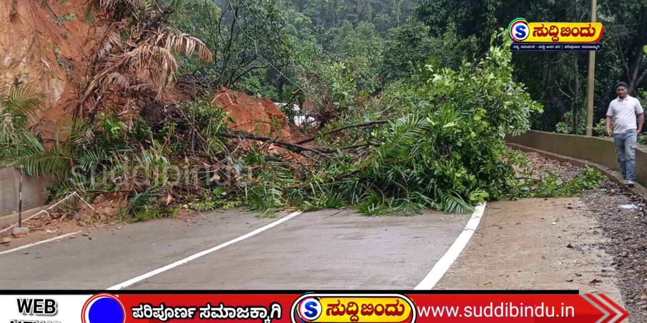 ದೇವಿಮನೆ ಘಟ್ಟದಲ್ಲಿ ಗುಡ್ಡ ಕುಸಿತ : ಬೈಕ್ ಸವಾರನ ಮೇಲೆ ಬಿದ್ದ ಮರ ಅದೃಷ್ಟವಶಾತ್ ಪ್ರಾಣಾಪಾಯದಿಂದ ಪಾರು,