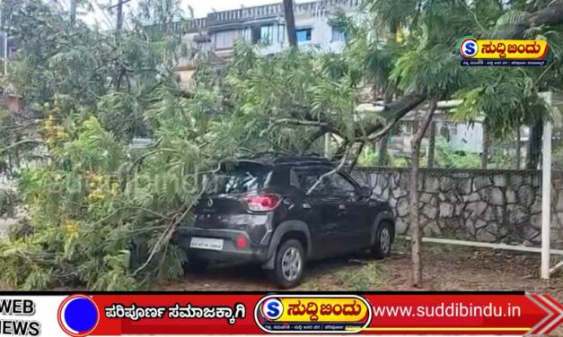 ಭಾರೀ  ಗಾಳಿ-ಮಳೆ : ಕಾರಿನ ಮೇಲೆ ಬಿದ್ದ ಮರ, ತಪ್ಪಿದ  ಅನಾಹುತ