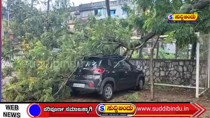 ಭಾರೀ ಗಾಳಿ-ಮಳೆ : ಕಾರಿನ ಮೇಲೆ ಬಿದ್ದ ಮರ, ತಪ್ಪಿದ ಅನಾಹುತ