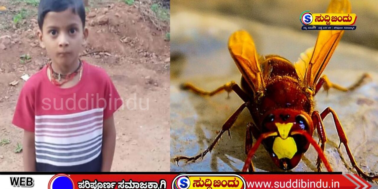 ಕಡಜದ ಹುಳುಗಳ ದಾಳಿಗೆ 8 ವರ್ಷದ ಬಾಲಕ ಸಾವು : ತಂದೆಗೆ ಗಂಭೀರ ಗಾಯ