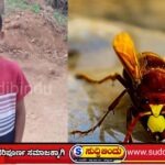 ಕಡಜದ ಹುಳುಗಳ ದಾಳಿಗೆ 8 ವರ್ಷದ ಬಾಲಕ ಸಾವು : ತಂದೆಗೆ ಗಂಭೀರ ಗಾಯ