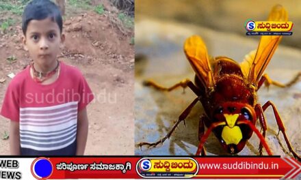 ಕಡಜದ ಹುಳುಗಳ ದಾಳಿಗೆ 8 ವರ್ಷದ ಬಾಲಕ ಸಾವು : ತಂದೆಗೆ ಗಂಭೀರ ಗಾಯ