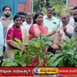 ಪರಿಸರ ಕಾಳಜಿ ಮೆರೆದ ಬಿಜೆಪಿ ರಾಜ್ಯ ಉಪಾಧ್ಯಕ್ಷೆ ರೂಪಾಲಿ ನಾಯ್ಕ