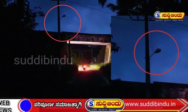 ಬರ್ಗಿ–ಕಿಮಾನಿ ರಸ್ತೆಗೆ ಬೆಳಕು ಕೊಡಿ; ದಾರಿ ದೀಪ ದುರಸ್ತಿಗೆ ಗ್ರಾಮಸ್ಥರ ಒತ್ತಾಯ
