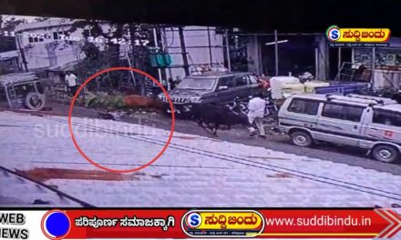 ಹೋರಿ ಕಾಳಗಕ್ಕೆ ಮಹಿಳೆ ಬಲಿ : ಮಲ್ಲಾಪುರದಲ್ಲಿ ಘಟನೆ