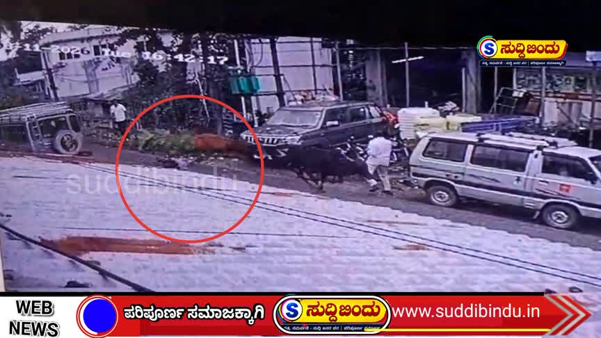ಹೋರಿ ಕಾಳಗಕ್ಕೆ ಮಹಿಳೆ ಬಲಿ : ಮಲ್ಲಾಪುರದಲ್ಲಿ ಘಟನೆ