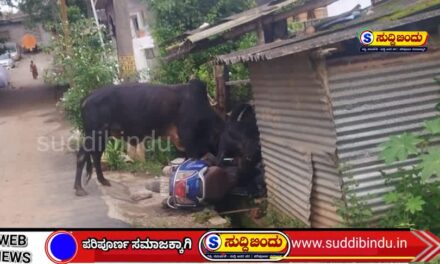 ಹೋರಿಗಳ ಕಾಳಗ – ಮನೆಗೆ ಹಾನಿ : ದ್ವಿಚಕ್ರ ವಾಹನ ಜಖಂ