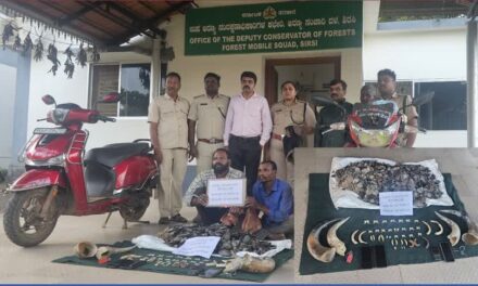 Breaking News/ಯಲ್ಲಾಪುರದಲ್ಲಿ ಭರ್ಜರಿ ಬೇಟೆ! 15 ಕೆ.ಜಿ. ಪ್ಯಾಂಗೋಲಿನ್ ಚಿಪ್ಪು, ಹುಲಿ–ಚಿರತೆ ಉಗುರುಗಳು ವಶಕ್ಕೆ