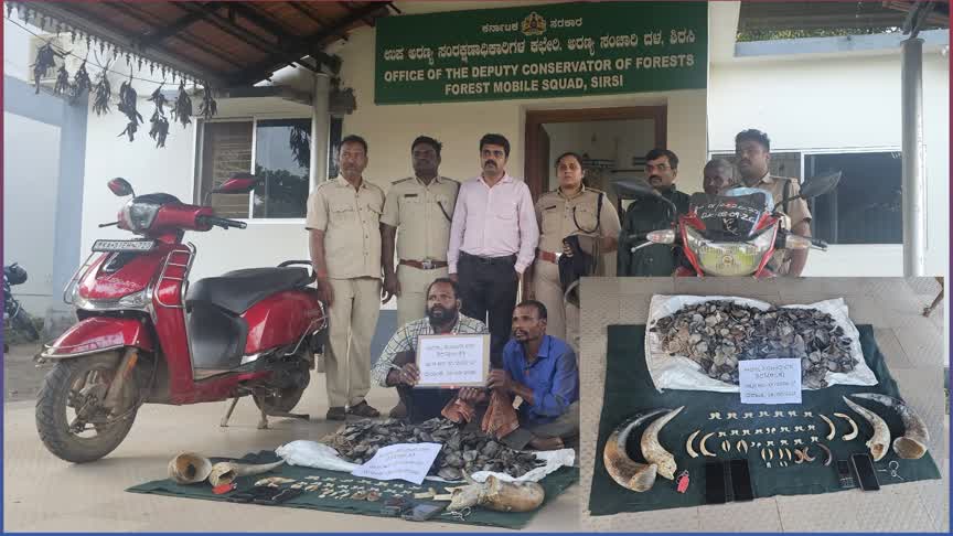 Breaking News/ಯಲ್ಲಾಪುರದಲ್ಲಿ ಭರ್ಜರಿ ಬೇಟೆ! 15 ಕೆ.ಜಿ. ಪ್ಯಾಂಗೋಲಿನ್ ಚಿಪ್ಪು, ಹುಲಿ–ಚಿರತೆ ಉಗುರುಗಳು ವಶಕ್ಕೆ