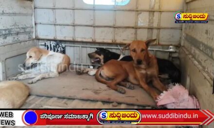 ಹಳಿಯಾಳದಲ್ಲಿ ಶ್ವಾನಗಳ ಸೆರೆ; ಸಕ್ಕರೆ ಕಾರ್ಖಾನೆ ವಿರುದ್ಧ ಆಕ್ರೋಶ