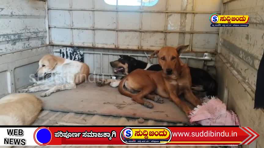 ಹಳಿಯಾಳದಲ್ಲಿ ಶ್ವಾನಗಳ ಸೆರೆ; ಸಕ್ಕರೆ ಕಾರ್ಖಾನೆ ವಿರುದ್ಧ ಆಕ್ರೋಶ