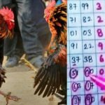 ಠಾಣೆ ಸಮೀಪವೇ ಓಸಿ-ಮಟ್ಕಾ ಆರೋಪ : ಒಂದು ಕಡೆ ದಾಳಿ, ಮತ್ತೊಂದೆಡೆ ‘ಡಿಜಿಟಲ್‌’ ದಂಧೆ ಜೋರು..?