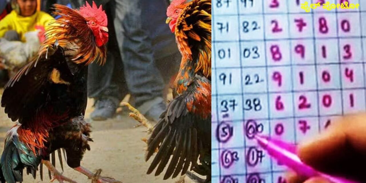 ಕತ್ತಗಾಲದಲ್ಲಿ ರಾಜಾರೋಷವಾಗಿ ಓಸಿ–ಮಟ್ಕಾ,.? ಶಿರಗುಂಜಿ, ಮಾಬ್ಗಿಯಲ್ಲೂ ಕೋಳಿ ಅಂಕ ಜಾಲ