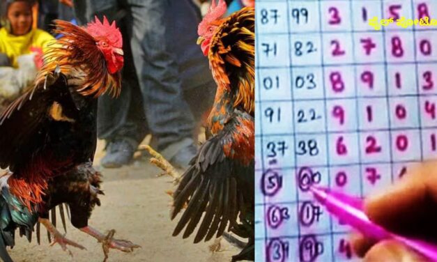 ಕತ್ತಗಾಲದಲ್ಲಿ ರಾಜಾರೋಷವಾಗಿ ಓಸಿ–ಮಟ್ಕಾ,.? ಶಿರಗುಂಜಿ, ಮಾಬ್ಗಿಯಲ್ಲೂ ಕೋಳಿ ಅಂಕ ಜಾಲ
