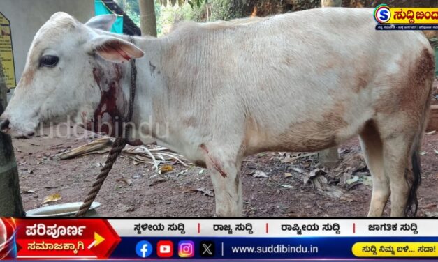 ಕೊಟ್ಟಿಗೆಗೆ ನುಗ್ಗಿ ಆಕಳ ಕರುವಿನ ಮೇಲೆ ಹುಲಿ ದಾಳಿ : ಎಡ್ತಾರೆ ಗ್ರಾಮದಲ್ಲಿ ಘಟನೆ