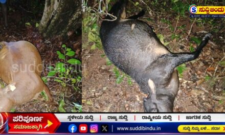 ಅಂತ್ರವಳ್ಳಿಯಲ್ಲಿ  ಸಿಡಿಲು ಬಡಿದು ಏಳು ಜಾನುವಾರುಗಳ ಸಾವು