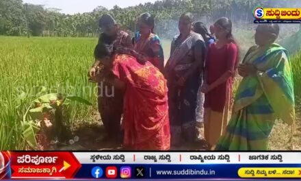 ಭೂತಾಯಿಗೆ ಉಡಿ ತುಂಬಿ, ಚರಗ ಚೆಲ್ಲಿ ಸಂಭ್ರಮಿಸಿದ ಬೆಡಸಗಾಂವ ರೈತರು