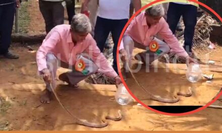 ಪ್ರವಾಸಕ್ಕೆ ಬಂದಿದ್ದ ಧಾರವಾಡದ ಐದು ವರ್ಷದ ಮಗುವಿಗೆ ಕಚ್ಚಿದ ನಾಗರಹಾವು