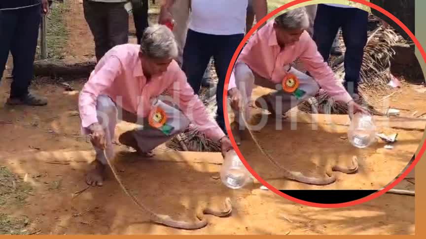 ಪ್ರವಾಸಕ್ಕೆ ಬಂದಿದ್ದ ಧಾರವಾಡದ ಐದು ವರ್ಷದ ಮಗುವಿಗೆ ಕಚ್ಚಿದ ನಾಗರಹಾವು