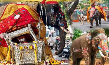 ದಸರಾ ಜಂಬೂಸವಾರಿಯಲ್ಲಿ ಆತಂಕ: ಬೆದರಿ ಓಡಿದ ಸೋಮಣ್ಣ ಆನೆ, ಕಾರಿನ ಮೇಲೆ ಬಿದ್ದ ಬೆಳ್ಳಿ ಅಂಬಾರಿ !
